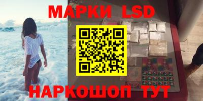 стафф Новозыбков