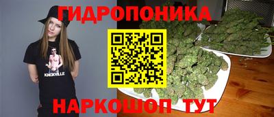 стафф Новозыбков