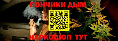 стафф Новозыбков