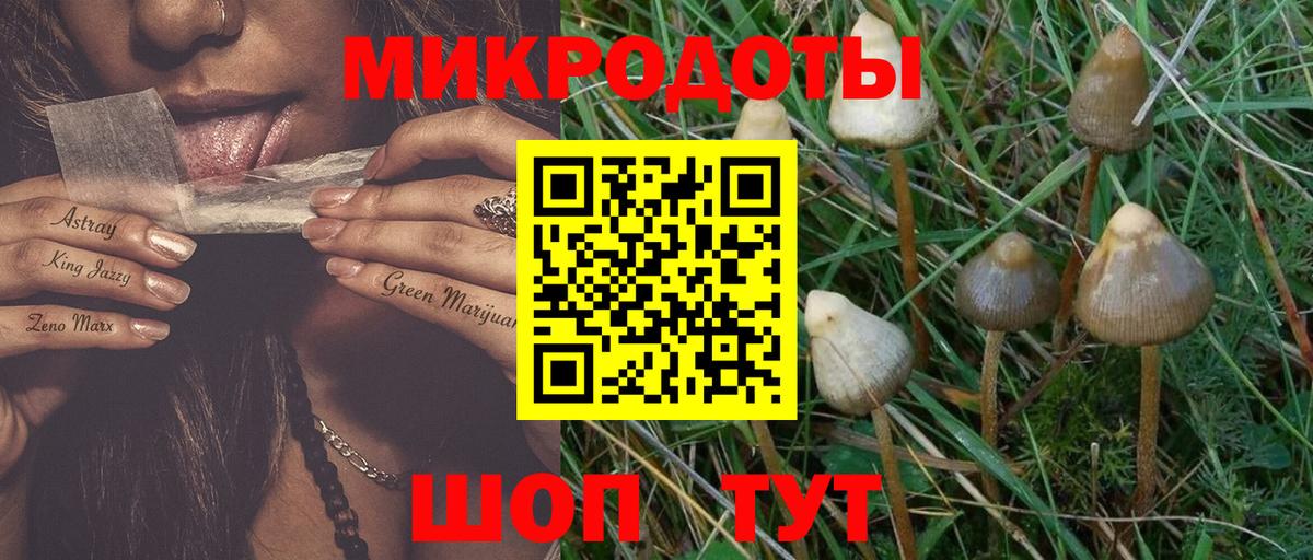 Петропавловск-Камчатский  Галлюциногенные грибы прущие грибы  Вход с VPN 
